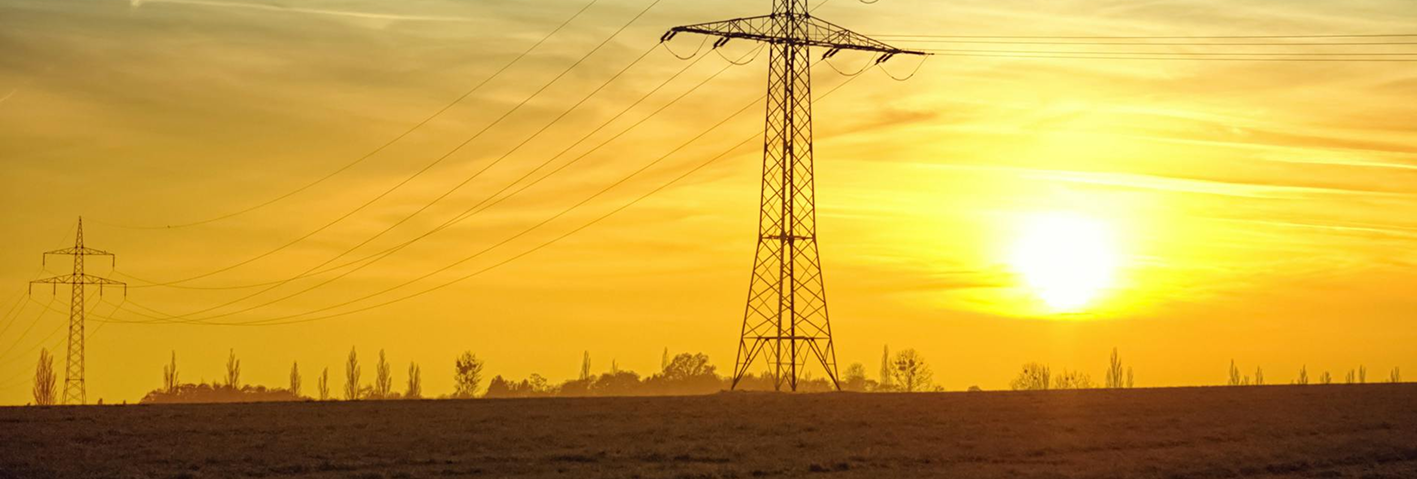 The Future of Energy Distribution